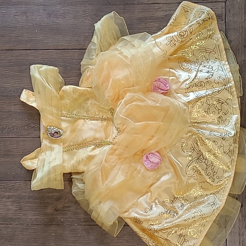 🌹Disney Belle dress